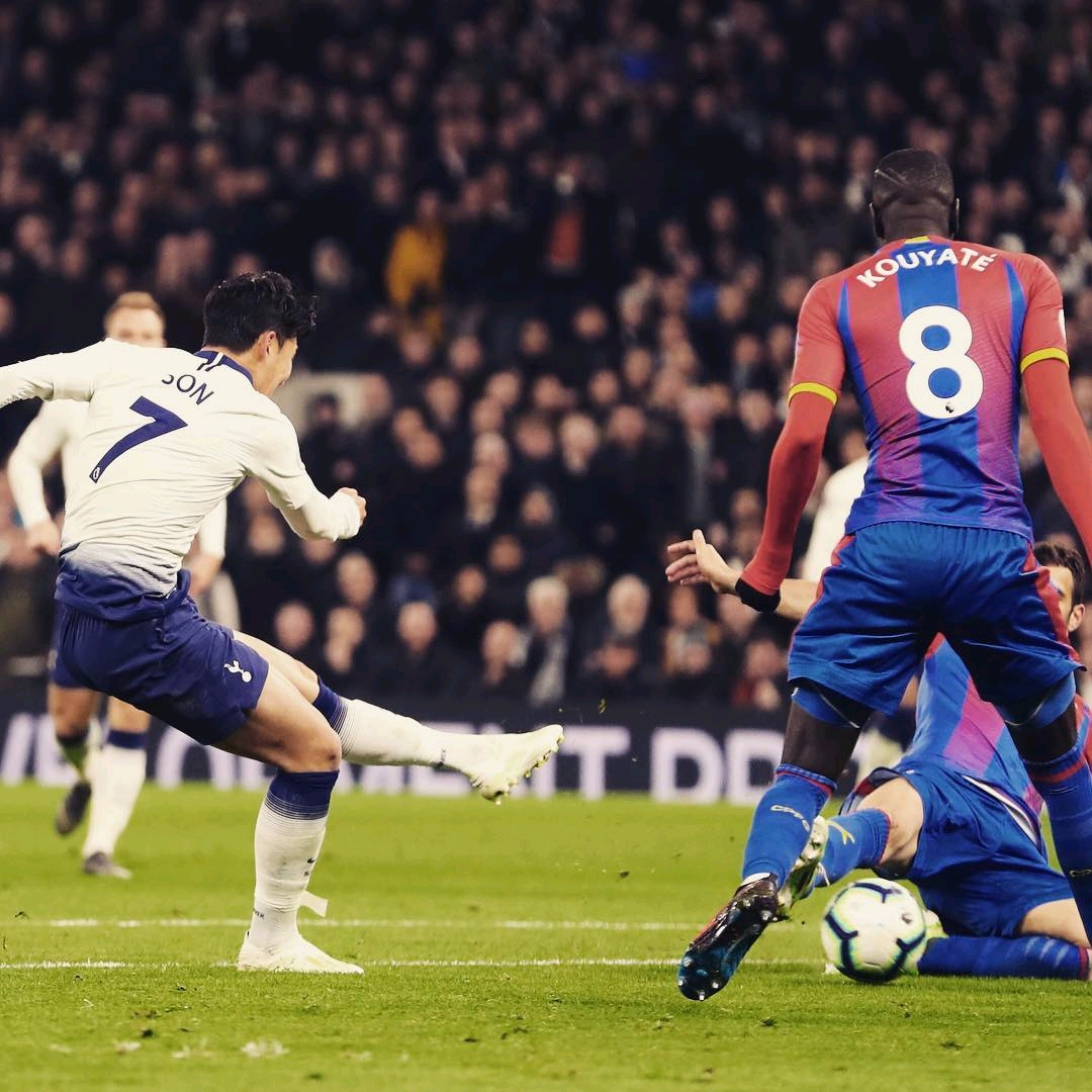 的意识和精 的意识和精