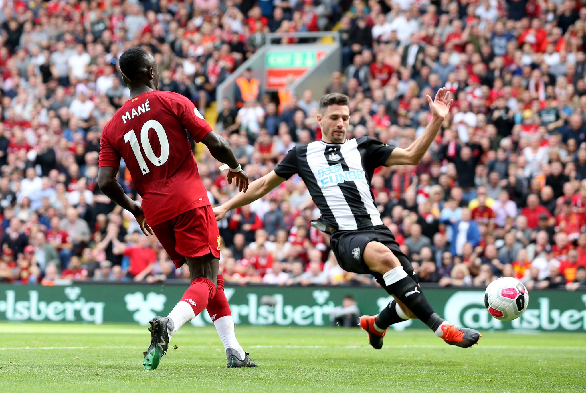 从帕尔梅拉 从帕尔梅拉